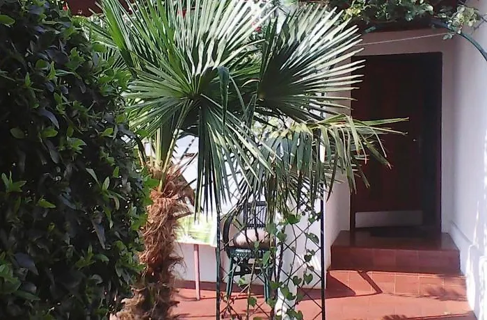 Nena Appartement